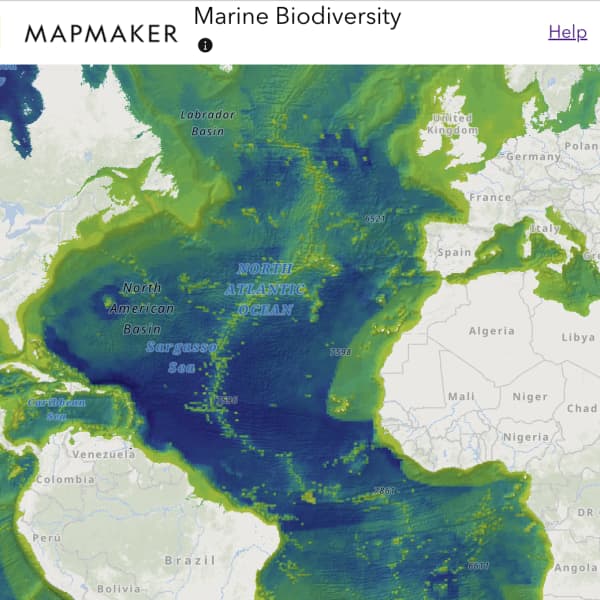 Mapmaker Marine Biodiversity