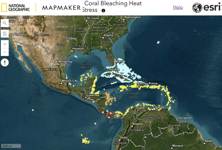 NOAA's Coral Reef Watch program monitors coral bleaching conditions around the world. This data updates daily, so you can explore current conditions.