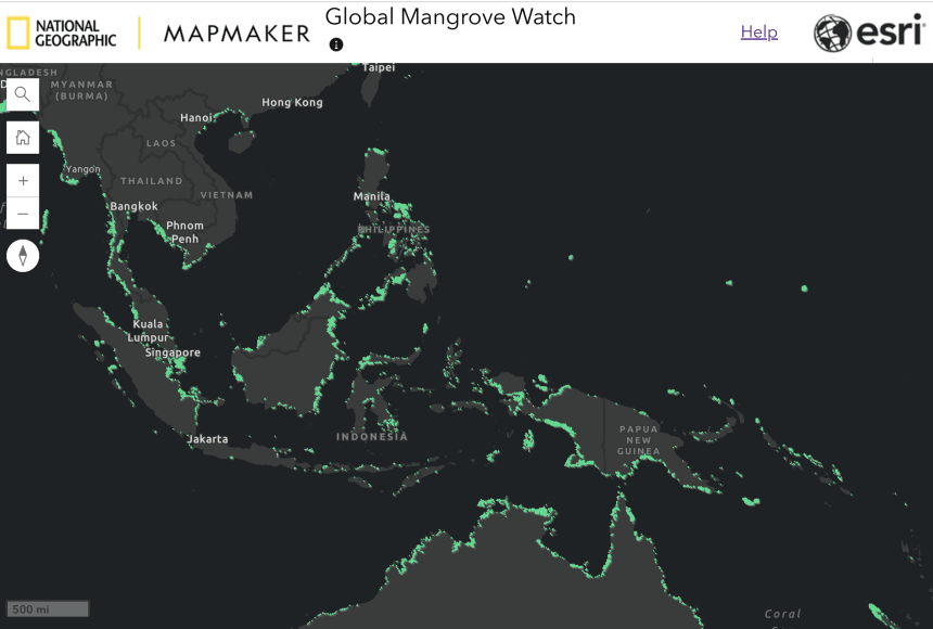 Use this map layer to explore the modern extent of mangrove forest cover.