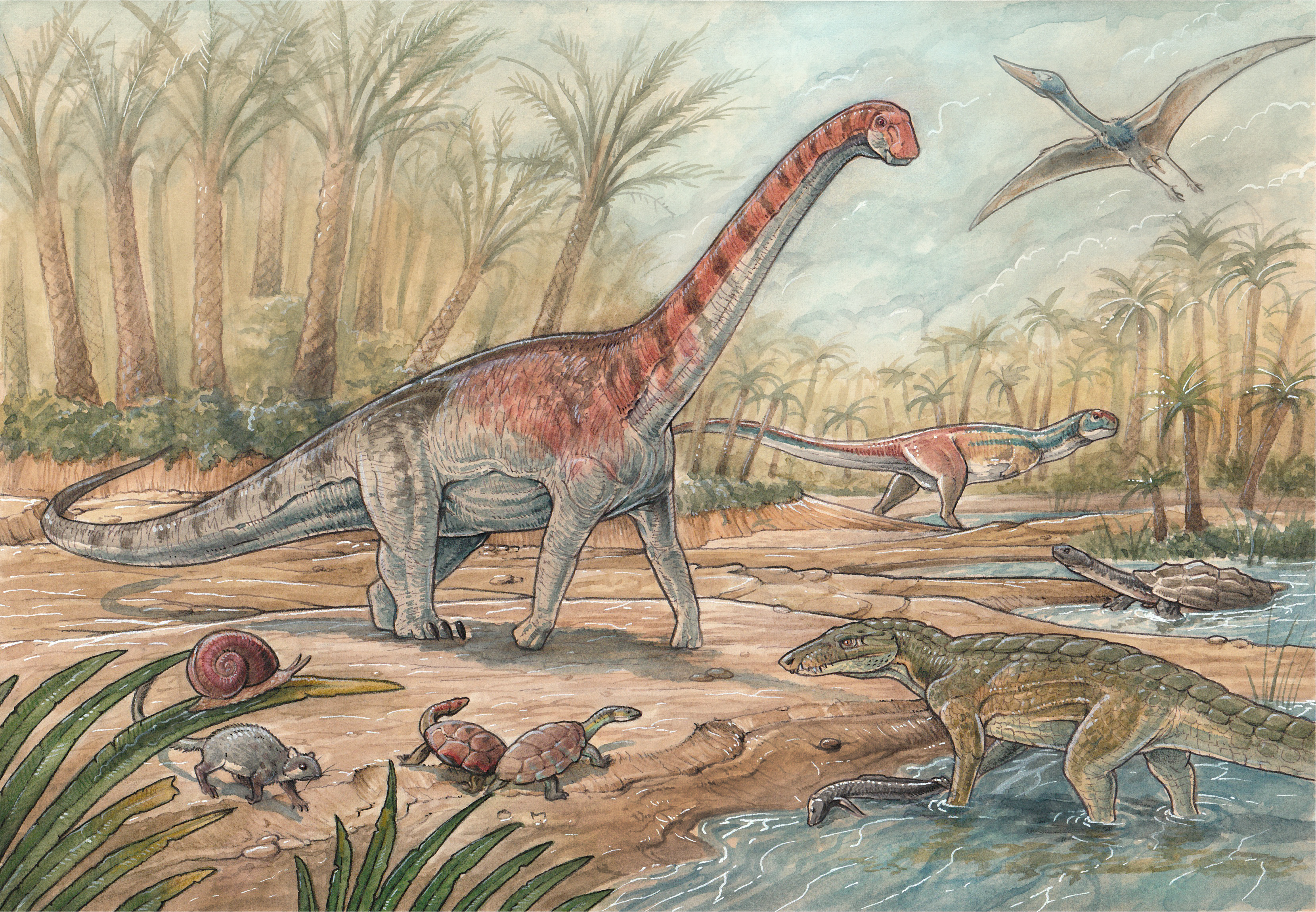 Dinosaurs Dinosaurs
