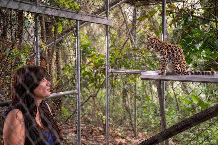 Photos Show New Species of Wild Cat Discovered in Bolivia — The First ...