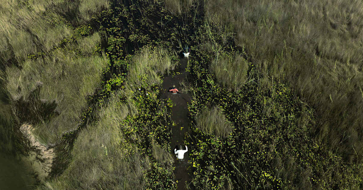 New Study: Peatlands in the Angolan Highlands Are at Least Four Times Larger Than Previously Estimated