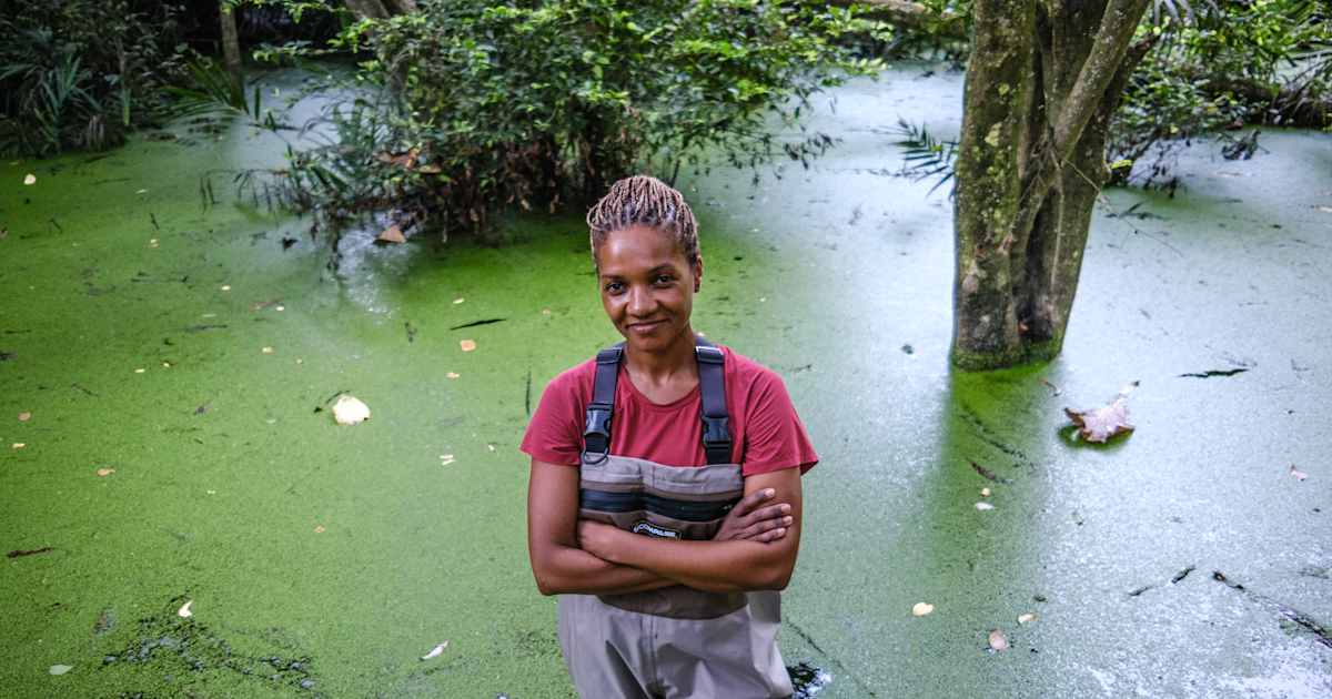 Preserving Earth’s wetlands with satellite technology