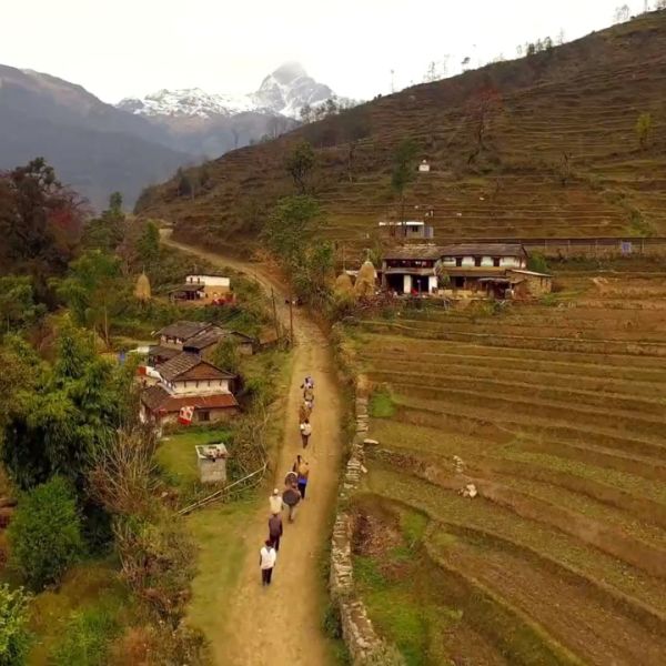 Out of Eden Walk: Exploring Human Migration