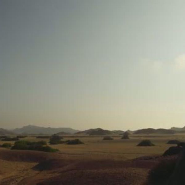 Water in the Namib Desert