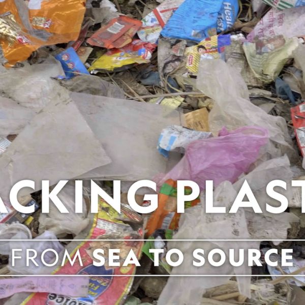 Solving The Problem Of Plastic Bag Pollution