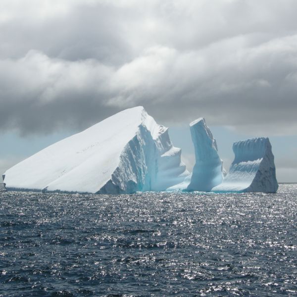 Glacière Iceberg 8L