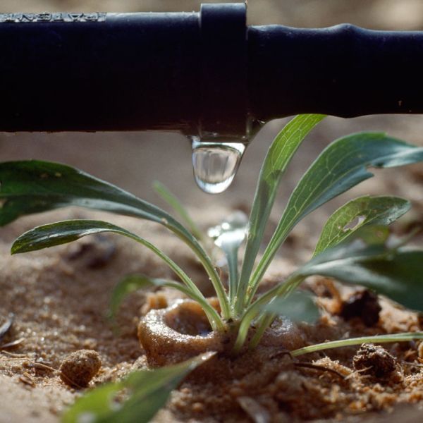 Managing Resources Unit