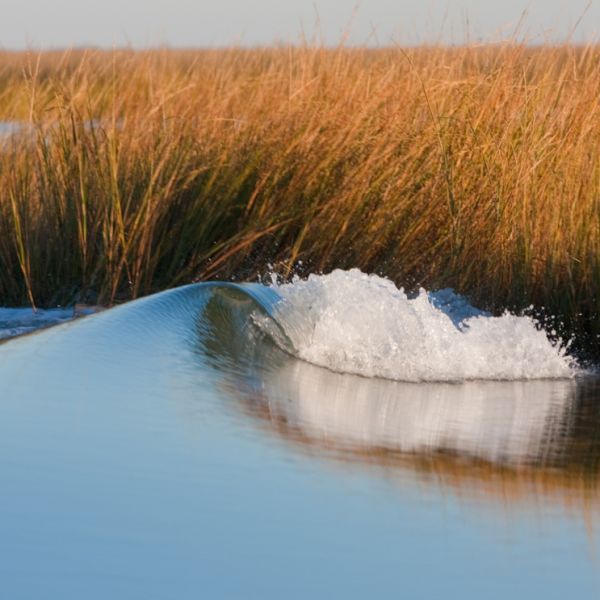 Go low, slow and smaller in winter marshes