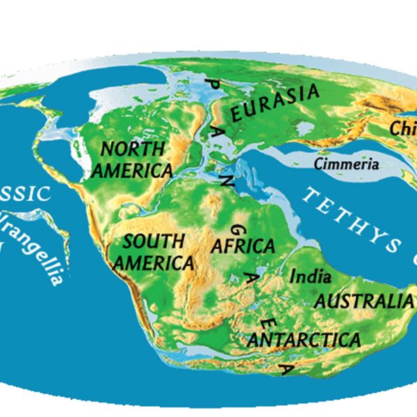 Earth's Shifting Tectonic Plates