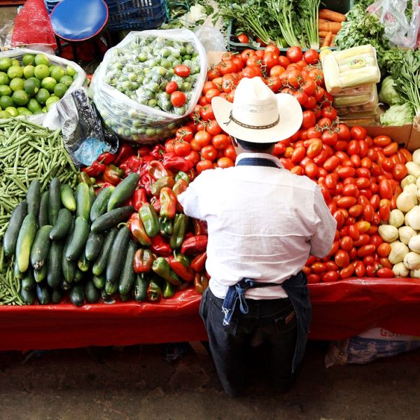 Cuban private grocery stores thrive but only a few people can