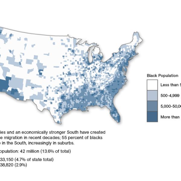 African American Population