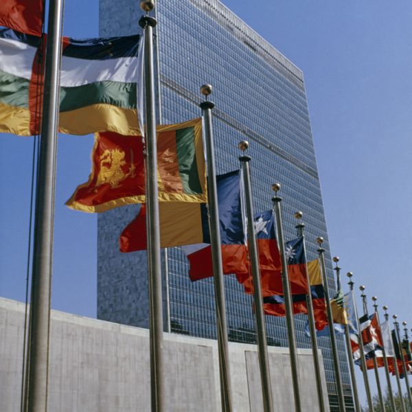 Domestic Protocol Office of the Federal Government - Car flags