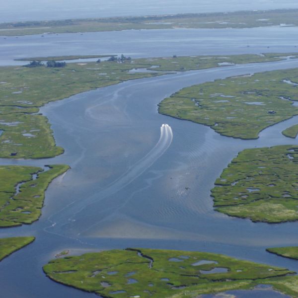 mouth of a river definition