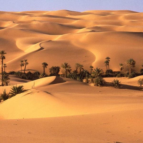 sahara desert pictures printable