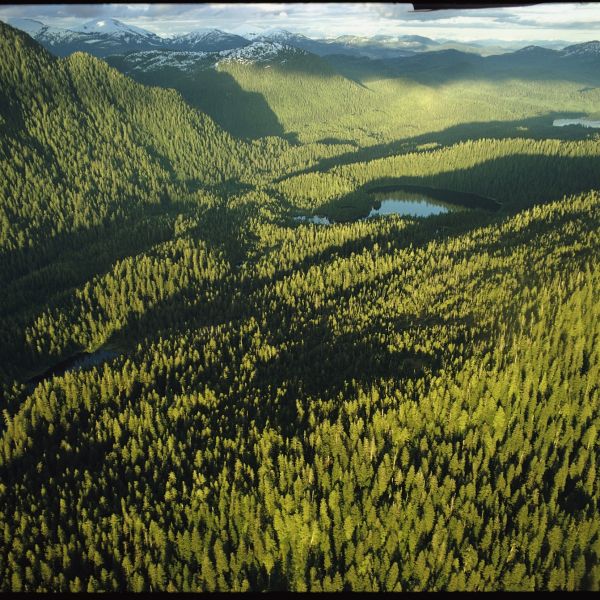 education.nationalgeographic.org