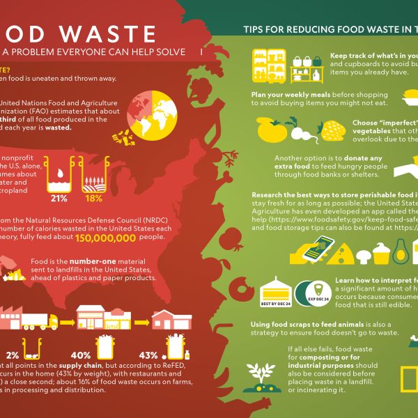 Food Waste Management