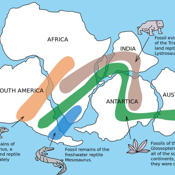 i know it's probably because there are few writers for these regions, but  what are some explanations for there to be so few sites/facilities in  africa and west asia? is it because