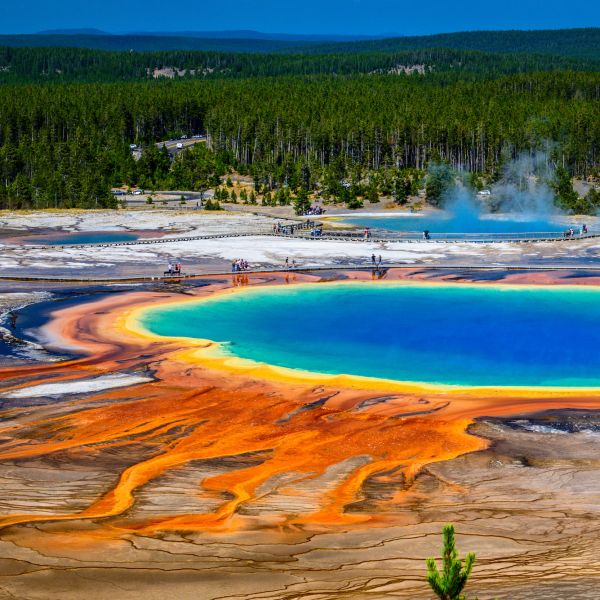 Explore Yellowstone National Park