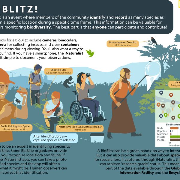Bioblitz!