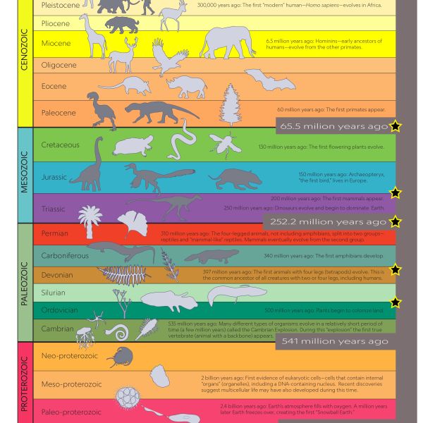 Age Earth Geologictime Infographic 