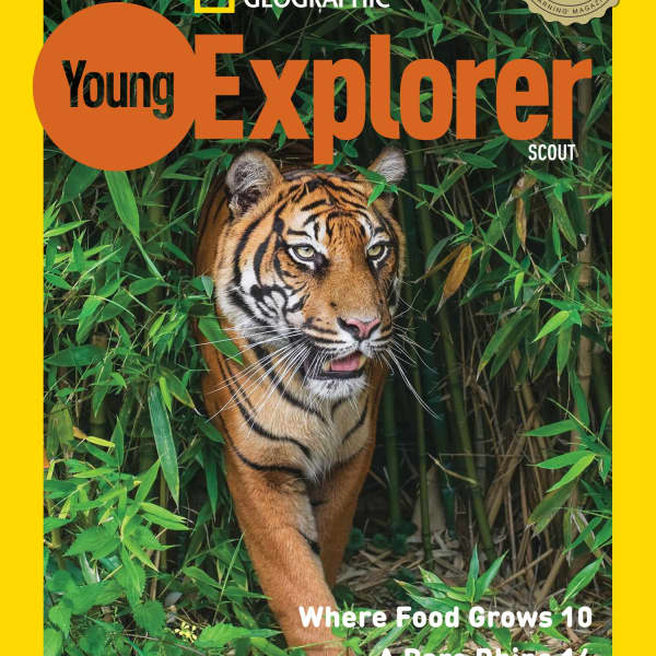 Tiger Magazine - Spring 2019 by Ridley College - Issuu