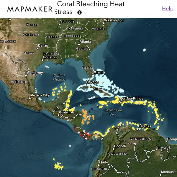 MapMaker: Coral Bleaching