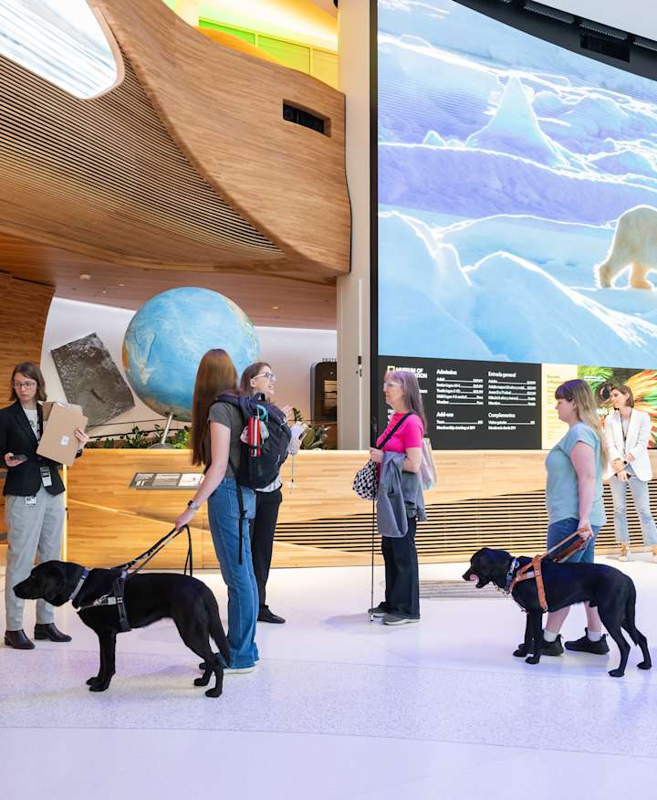 Un grupo de visitantes, incluidas dos personas acompañadas cada una por un perro guía y otra con un bastón, hacen cola para darle sus boletos al personal del Museum of Exploration en el lobby.