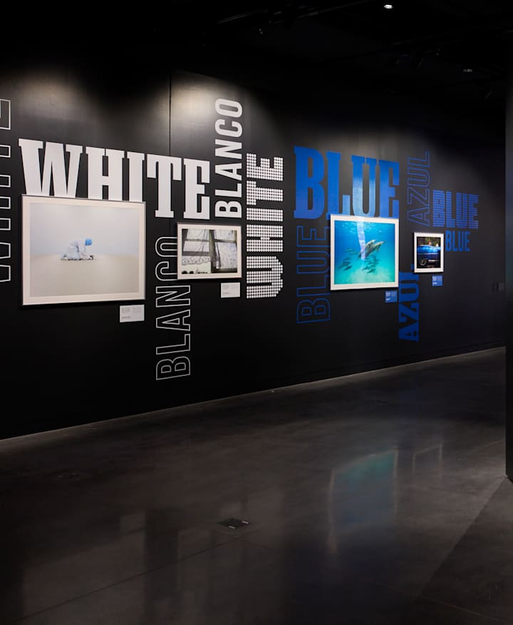 A photo taken from inside the "Red, White & Blue: Photographs of the United States" exhibition shows vibrant framed photography that aligns with the theme. 