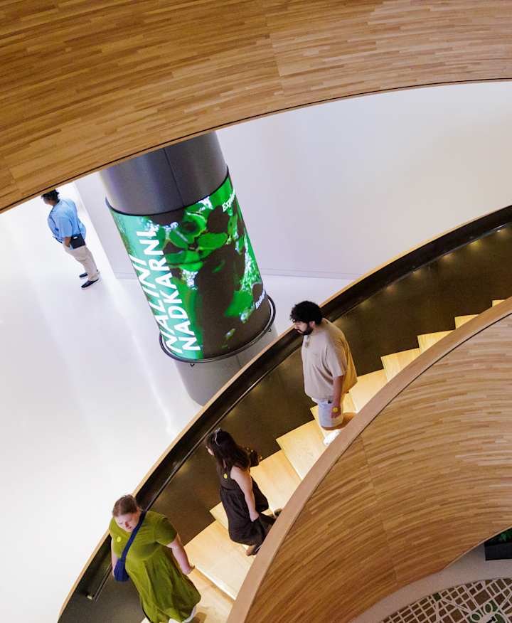 People walking up a spiral staircase with a colorful map on the floor. 