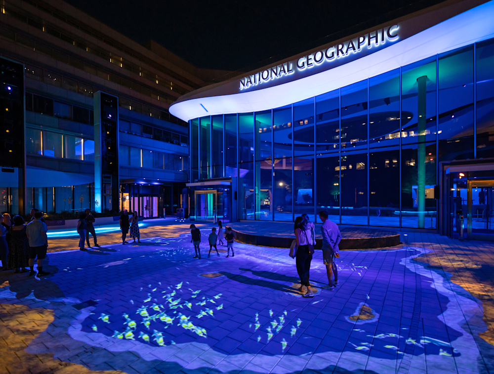 The Wonders of Our World nighttime pre show, with fish swimming on the ground around the visitors.