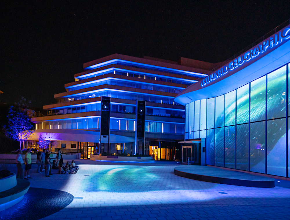 A side view of the nighttime scene of the Museum of Exploration's courtyard with a large projection of whale on the front of the musuem.
