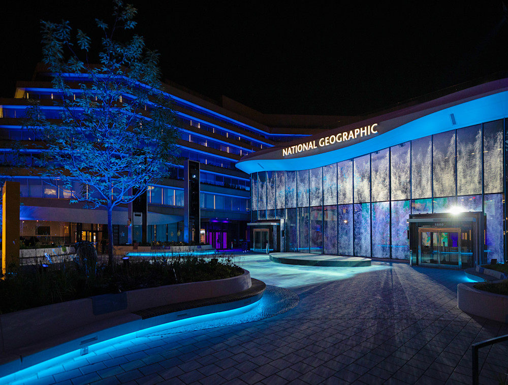 The empty courtyard of the Museum of Exploration bathed in shade of blue lighting at night, featuring glowing accents along the planters and a projection of a wave splashing across the large glass entrance.
