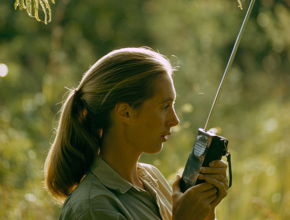 Jane Goodall holding a walkie talkie in the field.