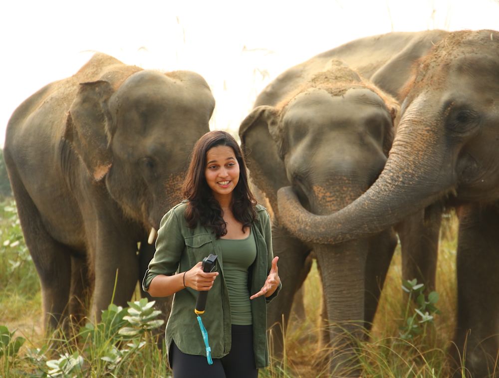 Malaika Vaz standing alongside elephants.