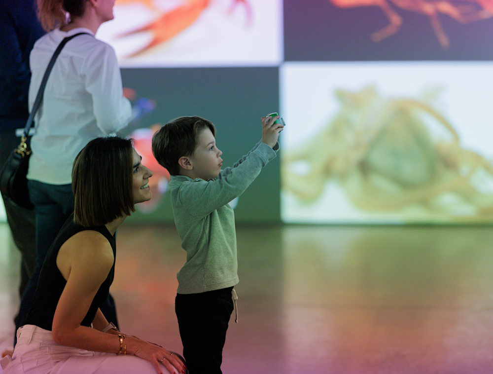 An adult and child taking photos in the Animals of Earth: Photo Ark exhibition.