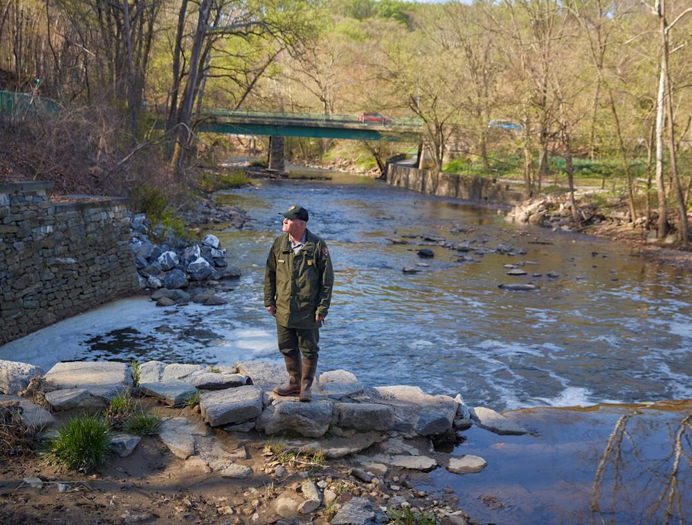 A person standing next to a creek at Rock Creek Park.