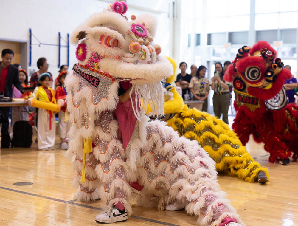 Lion Dancing.