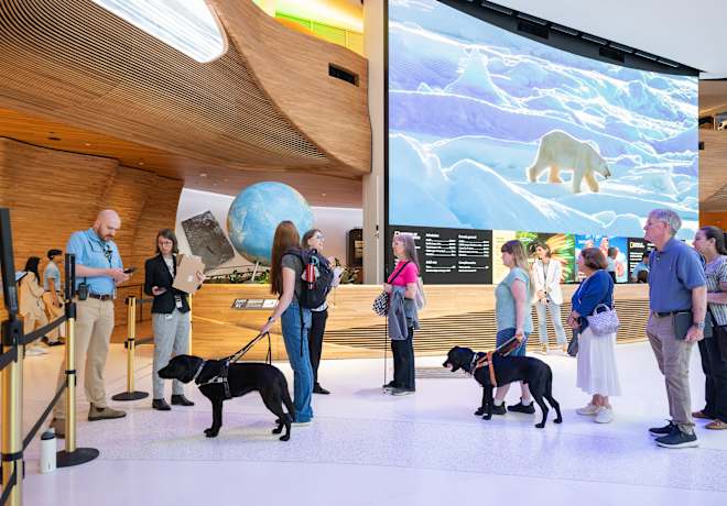 A group with service animals wait in line to have their tickets scanned