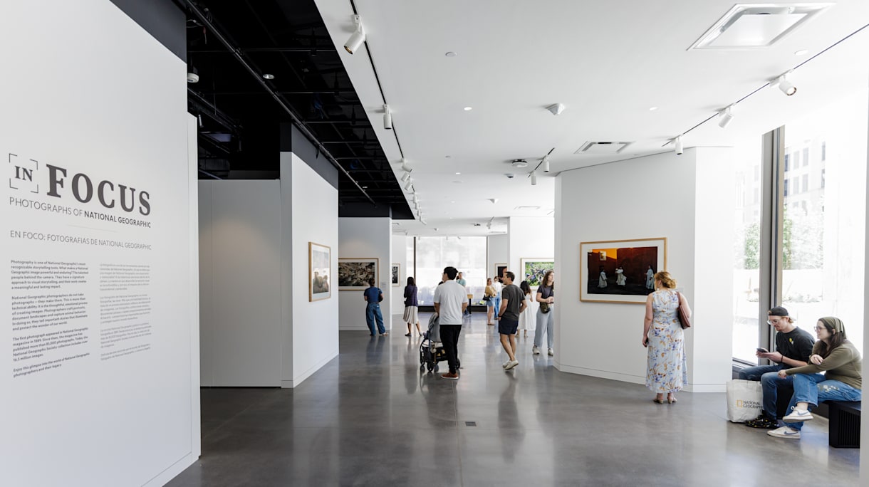 Un grupo de visitantes explora la resplandeciente galería fotográfica que componen la exposición En Foco: Fotografías de National Geographic. 