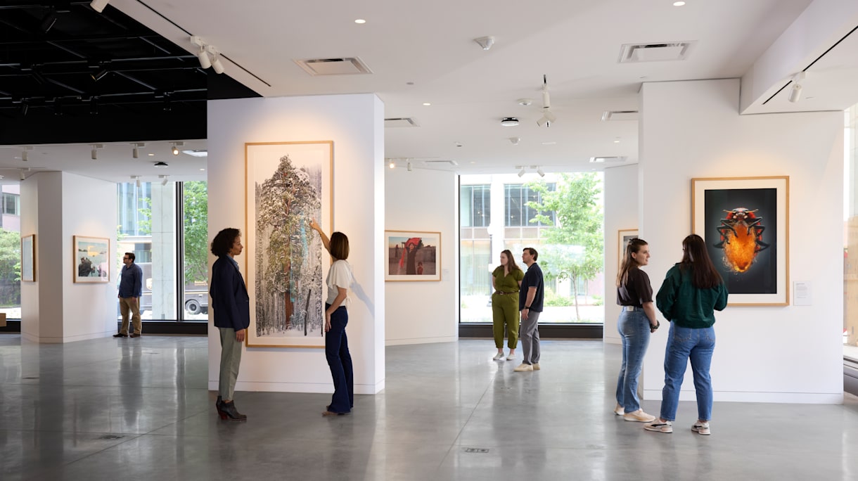 A group of people study large-scale framed photographs in the In Focus photography gallery exhibition. 