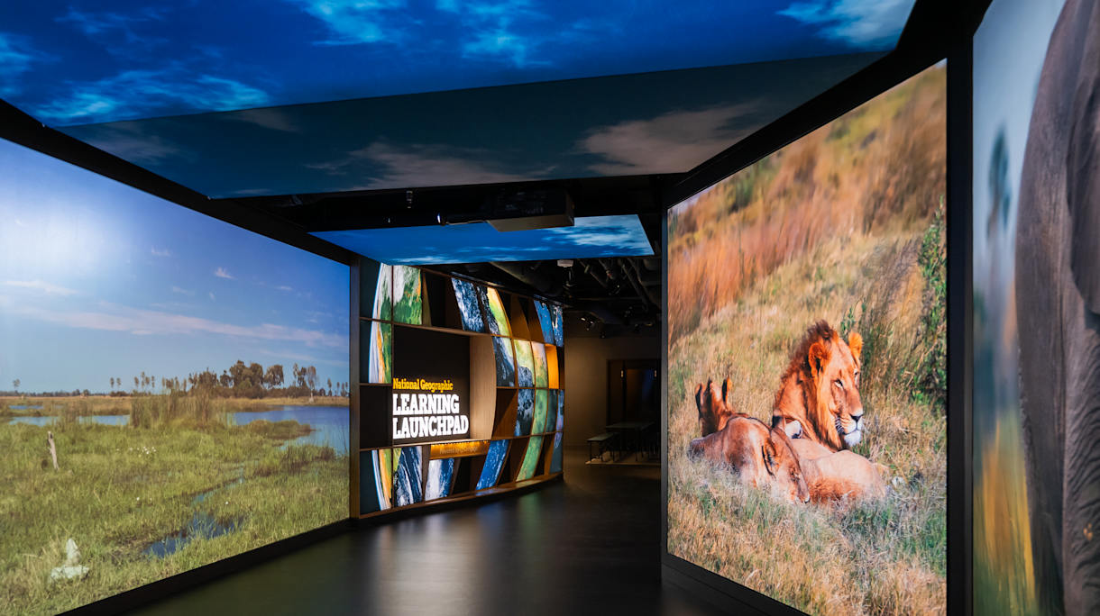 Empty exhibition entrance with videos and projections on the walls and ceiling. 