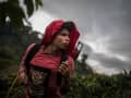 Indigenous Trans Women Find Sanctuary on Colombia's Coffee Farms