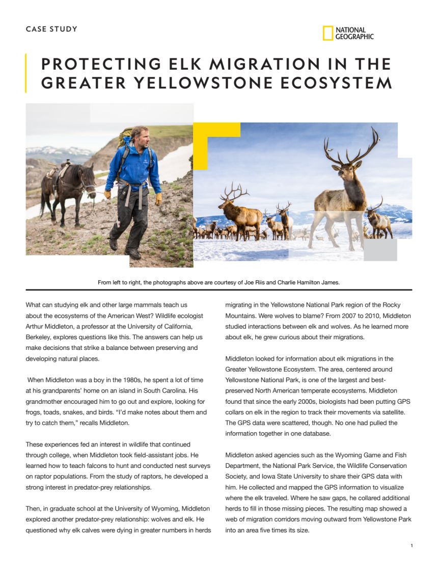 Protecting Elk Migration in the Greater Yellowstone Ecosystem