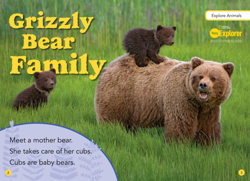 grizzly-bear-family.jpg