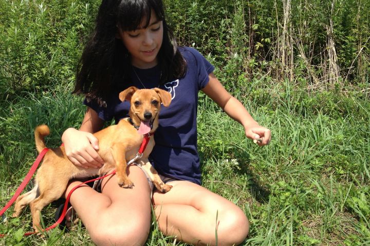 Photo of a girl with a dog.