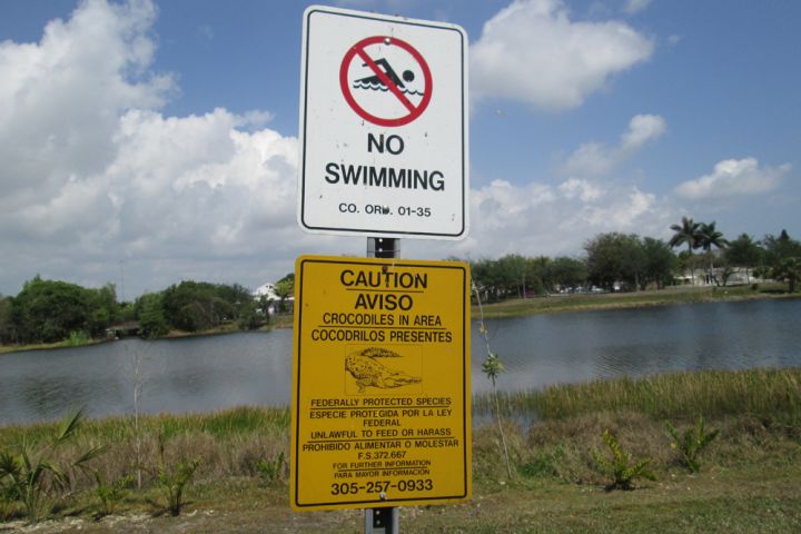 Photograph of a no swimming sign in an area with crocodiles.