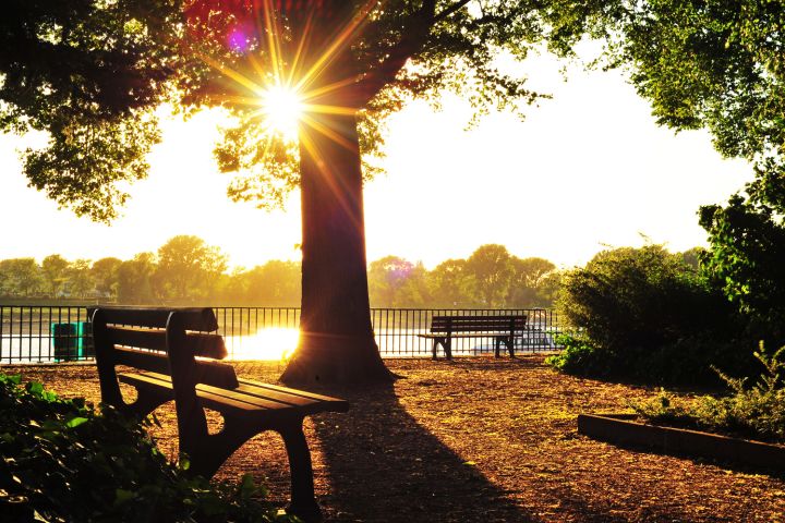 Picture of a park bench.