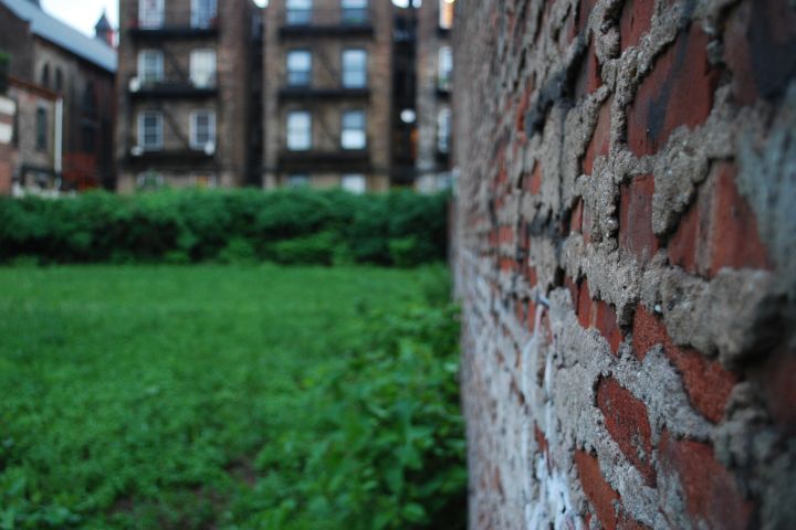 Picture of a vacant lot.