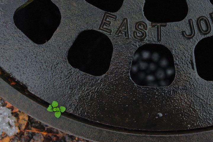 Picture of a storm drain.